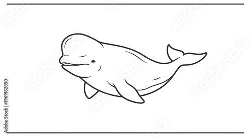 Adorable arctic beluga whale swimming in a minimalistic black and white illustration style
