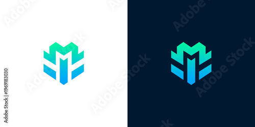 Modern geometric letter M or W logo design with a fresh gradient color palette, representing innovation and structured growth for contemporary brands and businesses