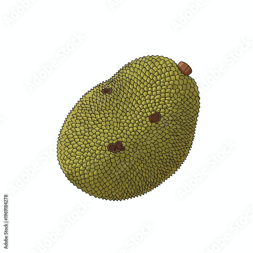 A textured green jackfruit with a brown stem and dark brown spots