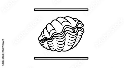 Minimalist vector outline drawing depicting a natural marine bivalve mollusk shell design