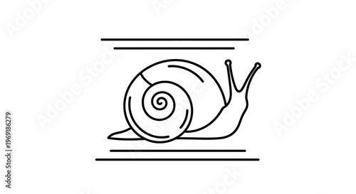 Minimalist outline illustration of a terrestrial garden snail featuring its distinctive spiral