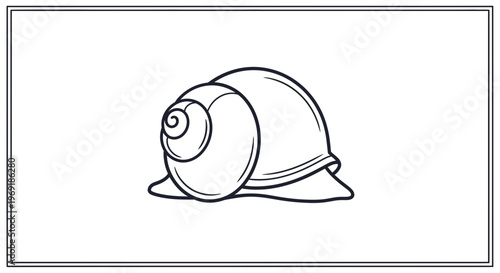 Elegant monochrome line art illustration of a sea snail shell highlighting natural aquatic forms
