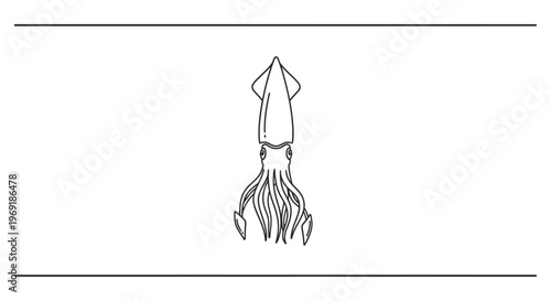 Elegant minimalist line drawing of a marine squid illustration capturing its distinctive