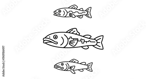 Minimalist black outline vector set showcasing three distinct freshwater fish icons ideal for