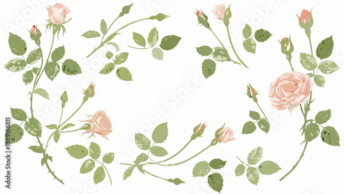Delicate arrangement of pastel roses and green stems on white