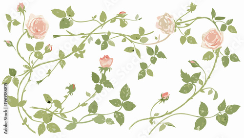 Watercolor illustration of delicate pink roses and winding green stems
