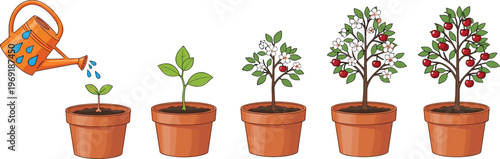 Potted Plant Growth Stages Illustration with Watering Can Showing Seedling to Flowering and Fruiting Tree Development for Gardening, Agriculture, and Nature Design