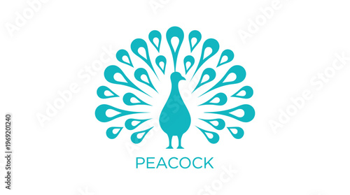 Vector graphic illustration Teal peacock logo with spread plumage and text on white background symbolizing beauty and elegance