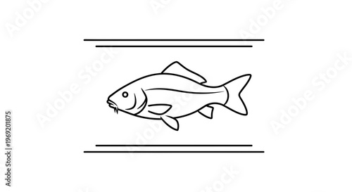 Clean minimalist line art illustration of a carp, perfect for branding and aquatic themes