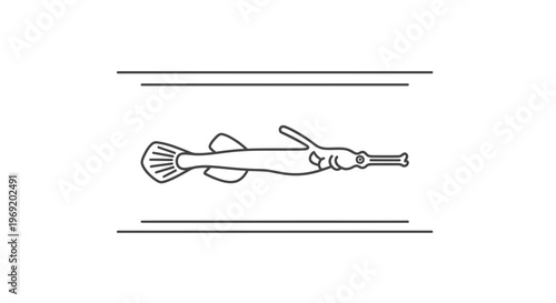 Minimalist line art illustration of an aquatic pipefish swimming gracefully within a clean frame