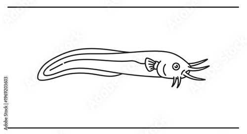 Minimalist aquatic creature line art illustration depicting a sleek freshwater fish species in a
