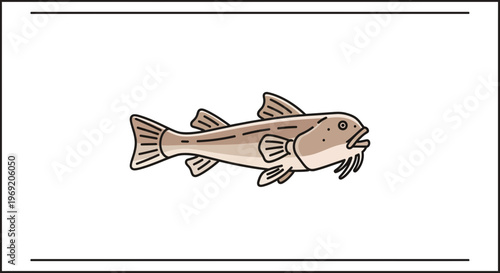 Clean vector illustration of a unique freshwater bottom feeder fish with barbels swimming
