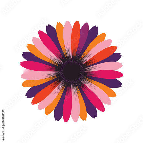 Colorful Flower Petals Isolated Object.