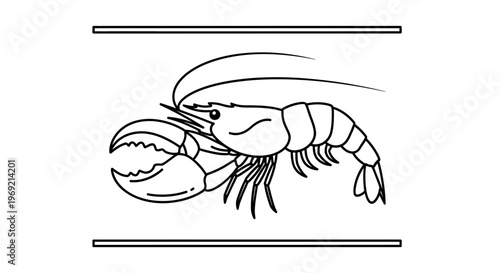 Simple monochrome illustration of a large marine crustacean with claws for various design projects