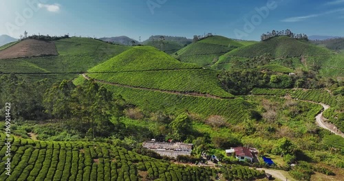 Wallpaper Mural Cinematic aerial view of scenic tea plantation, terraced hill valley in Munnar, Kerala, India. Aerial view of a tea plantation in Munnar. The beautiful Western Ghats mountain range in Kerala Torontodigital.ca