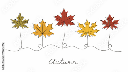 A simple illustration of colorful autumn maple leaves on delicate stems