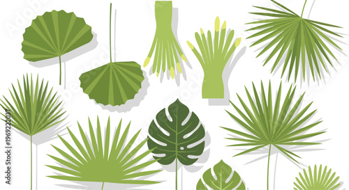 Tropical palm leaves, green foliage icons, vector illustrations, 12 palm leaf shapes