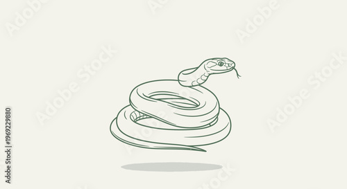 An illustration of a snake curled up and looking sideways on a plain background.