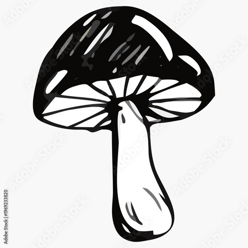 A black and white mushroom vector illustration of a cartoon toadstool in nature, featuring a stylized forest fungus design ideal for autumn plant and agaric art.