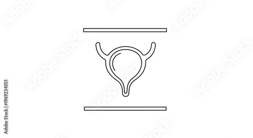 Minimalist line art illustration of the human urinary bladder for anatomical study
