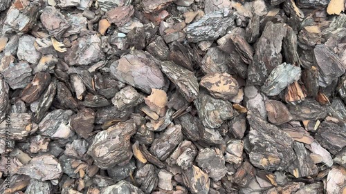 Bark mulch covers the ground in a garden area for landscaping and decoration purposes