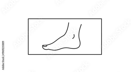 Minimalist line art of a human foot in profile, framed simply, representing fundamental anatomy