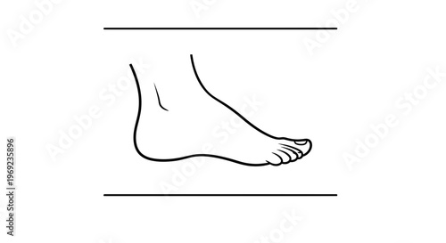 Detailed black outline drawing of the human foot arch and toes on a clean white background