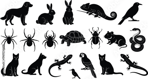 Black silhouette illustration of diverse animals including mammals, reptiles, birds, and insects, symbolizing wildlife artwork, nature design, educational creativity, and zoological projects