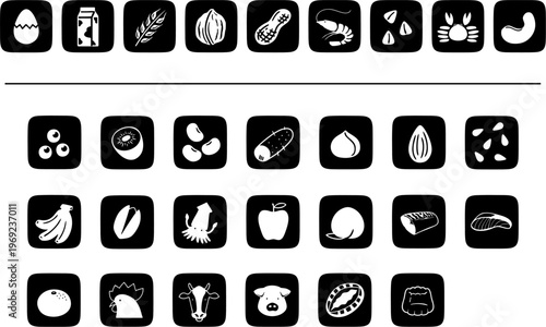 食品アレルギー表示29品目　文字なし モノクロアイコン