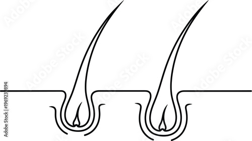 Human Hair Follicle Skin Anatomy Cross Section Treatment Icon Vector Line Art
