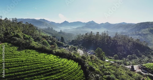 Wallpaper Mural Cinematic aerial view of scenic tea plantation, terraced hill valley in Munnar, Kerala, India. Aerial view of a tea plantation in Munnar. The beautiful Western Ghats mountain range in Kerala Torontodigital.ca