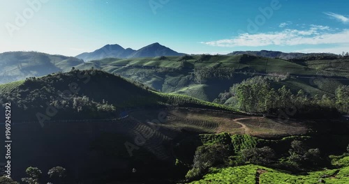 Wallpaper Mural Cinematic backward fly aerial shot of Tea Plantation hill valley in Munnar, Kerala, India. Aerial view of a tea plantation in Munnar. The beautiful Western Ghats mountain range in Kerala Torontodigital.ca