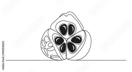 Minimalist continuous line art illustration depicting a halved fruit revealing its symmetrical