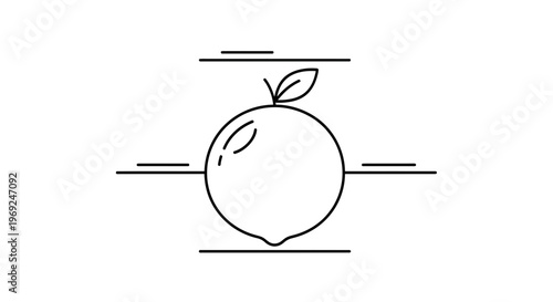 Clean minimalist line art illustration of a fresh citrus fruit with a subtle leaf element