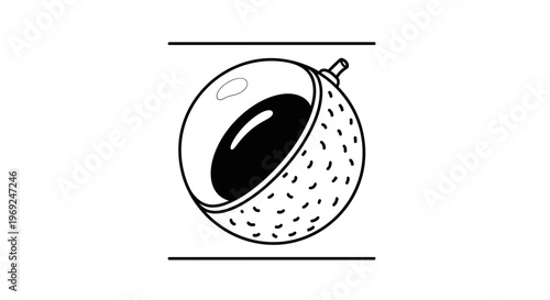 Minimalist monochrome vector illustration of a longan fruit, cut open to reveal its inner beauty