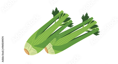 Two fresh green celery stalks with leaves isolated on a white background representing healthy eating and organic food.