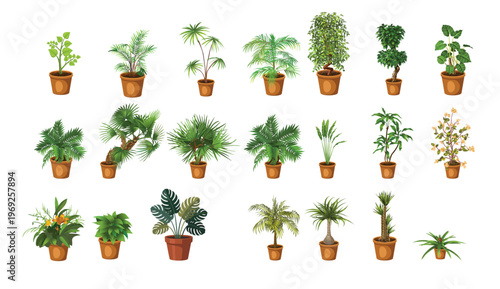 A collection of various potted plants arranged in rows on a white background
