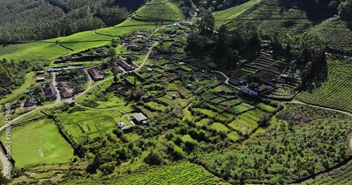 Wallpaper Mural Cinematic aerial view of a village situated amidst Tea Plantation Hill Valley in Munnar, Kerala, India. Aerial view of a tea plantation in Munnar. The beautiful Western Ghats mountain range in Kerala Torontodigital.ca