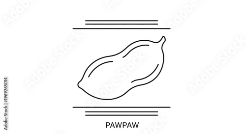 Minimalist black and white line art illustration showcasing a ripe pawpaw fruit's unique form