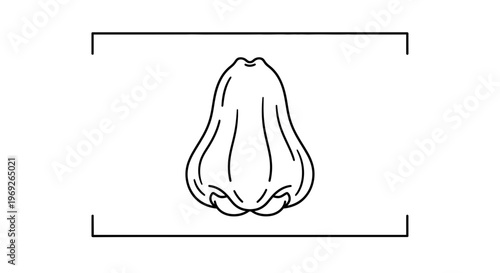 Minimalist line art illustration of a human nose providing clear anatomical representation