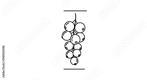Minimalist black outline drawing depicting a fresh cluster of small round berries on a stem