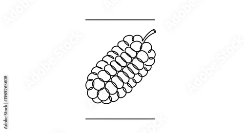 Minimalist continuous line art drawing of a fresh mulberry fruit in a clean, simple style on white