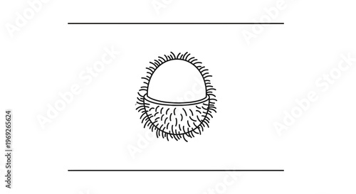 Minimalist black and white line art of a partially peeled rambutan tropical fruit isolated