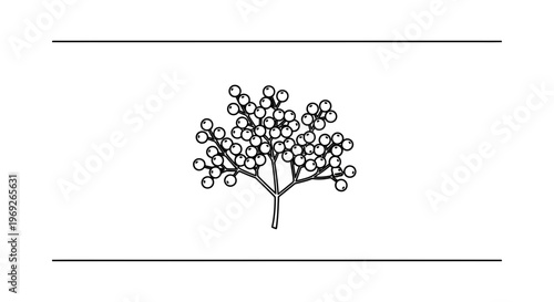 Minimalist botanical illustration of a berry cluster on a branched stem in black outline graphic