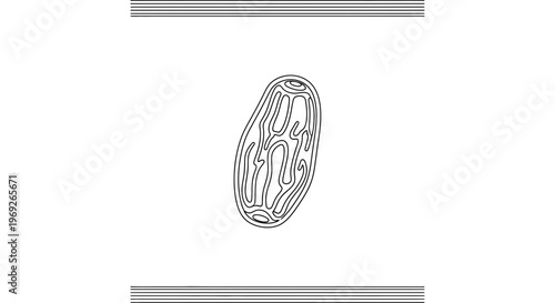 Abstract outline of a mitochondrion showcasing cellular biology and energy processes