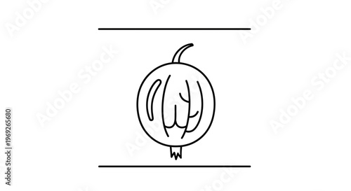 Minimalist Black and White Line Art Icon of a Fresh Gooseberry Fruit for Design Projects