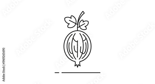 Minimalist line art illustration of a fresh gooseberry with two leaves, ideal for food and health