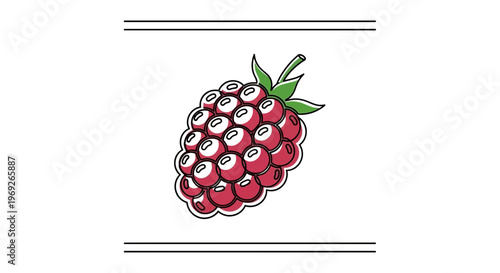 Vibrant hand-drawn red raspberry illustration with subtle highlights for fresh design