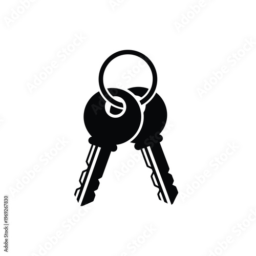 Two keys on a keyring icon vector
