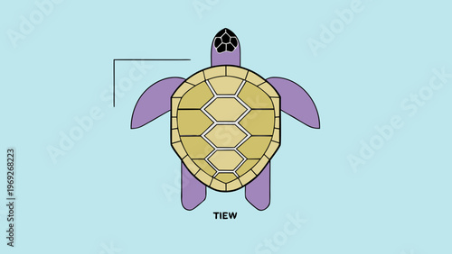 A simplified illustration of a sea turtle shows its shell and purple flippers.